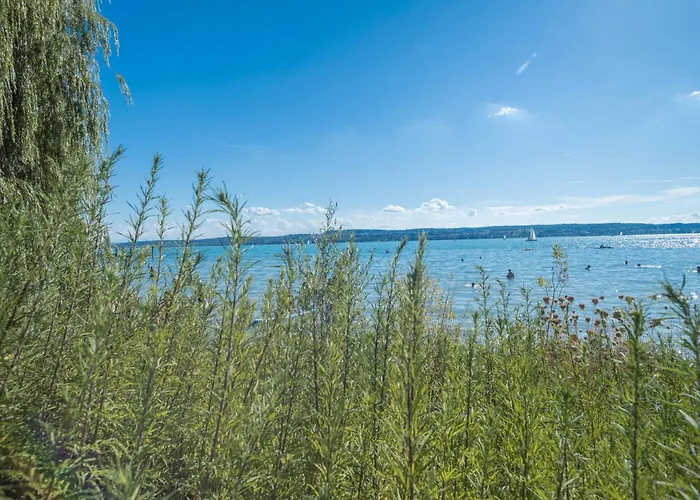 Tiny Haus 3 - Zwetschge